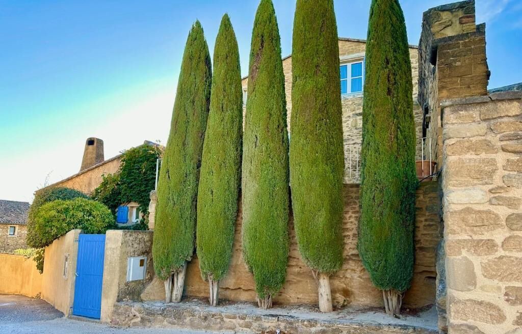 Photo of Outdoor in Grillon