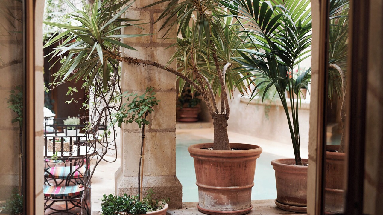 Photo of Outdoor in Notre-Dame du Mont