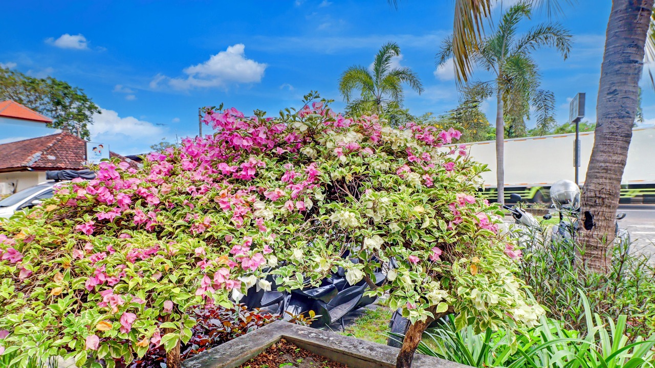 Photo of Others in Sanur Kauh