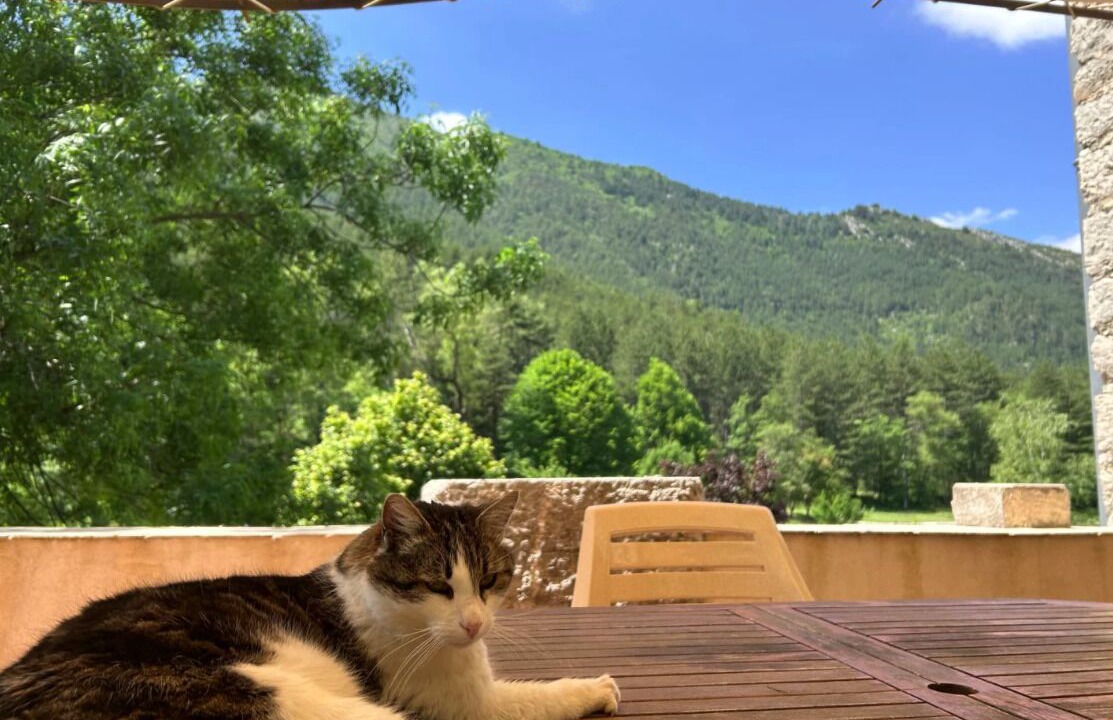 Photo of Others in Castellane