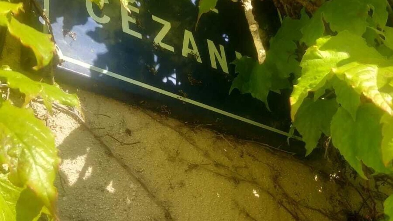 Photo of Outdoor in Ventabren