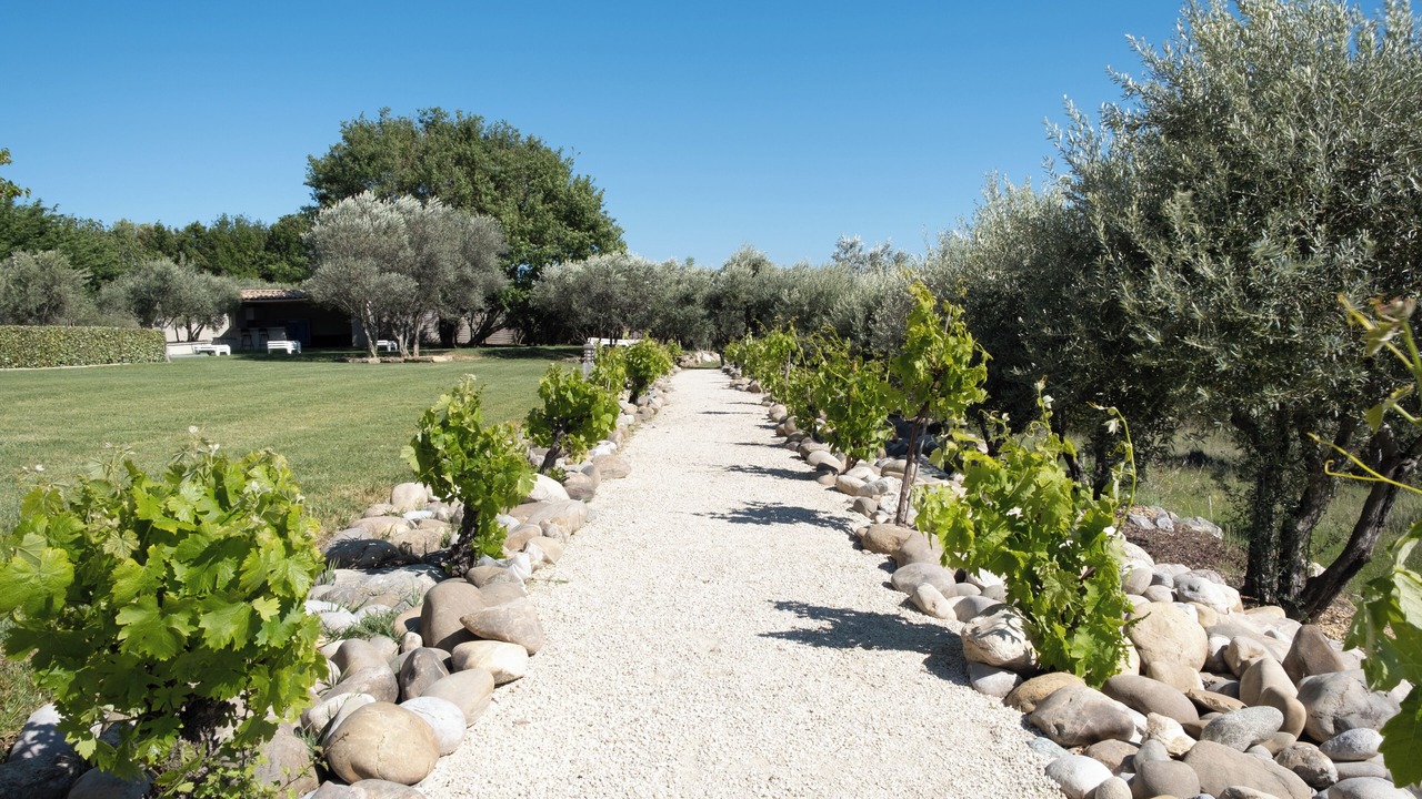 Photo of Outdoor in Bedoin