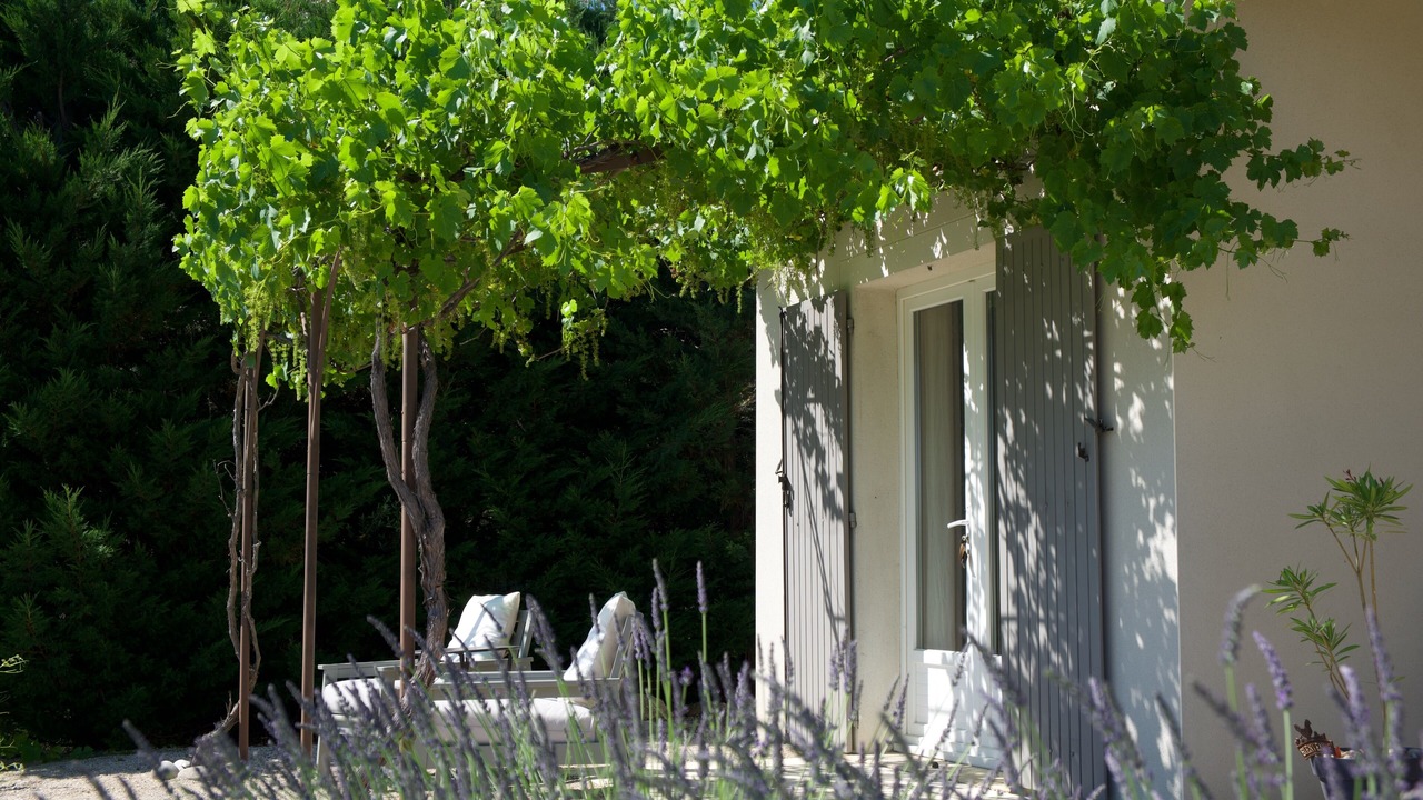 Photo of Outdoor in Bedoin