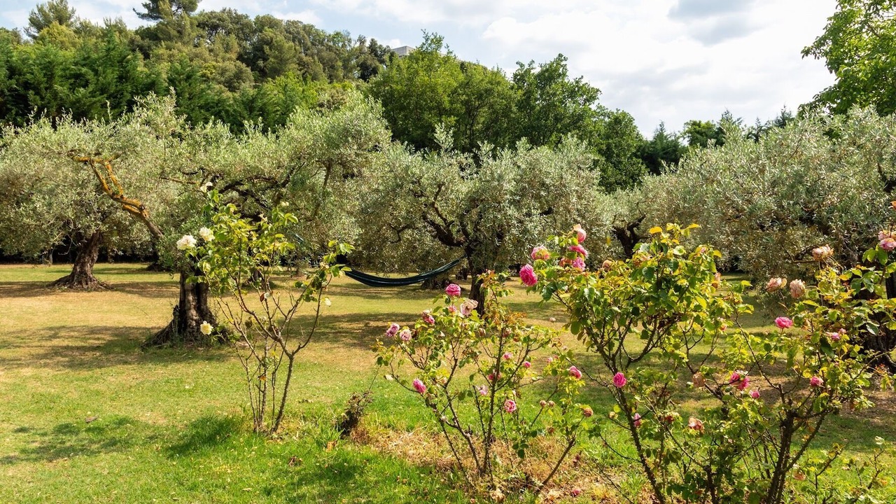 Photo of Outdoor in Les Mees