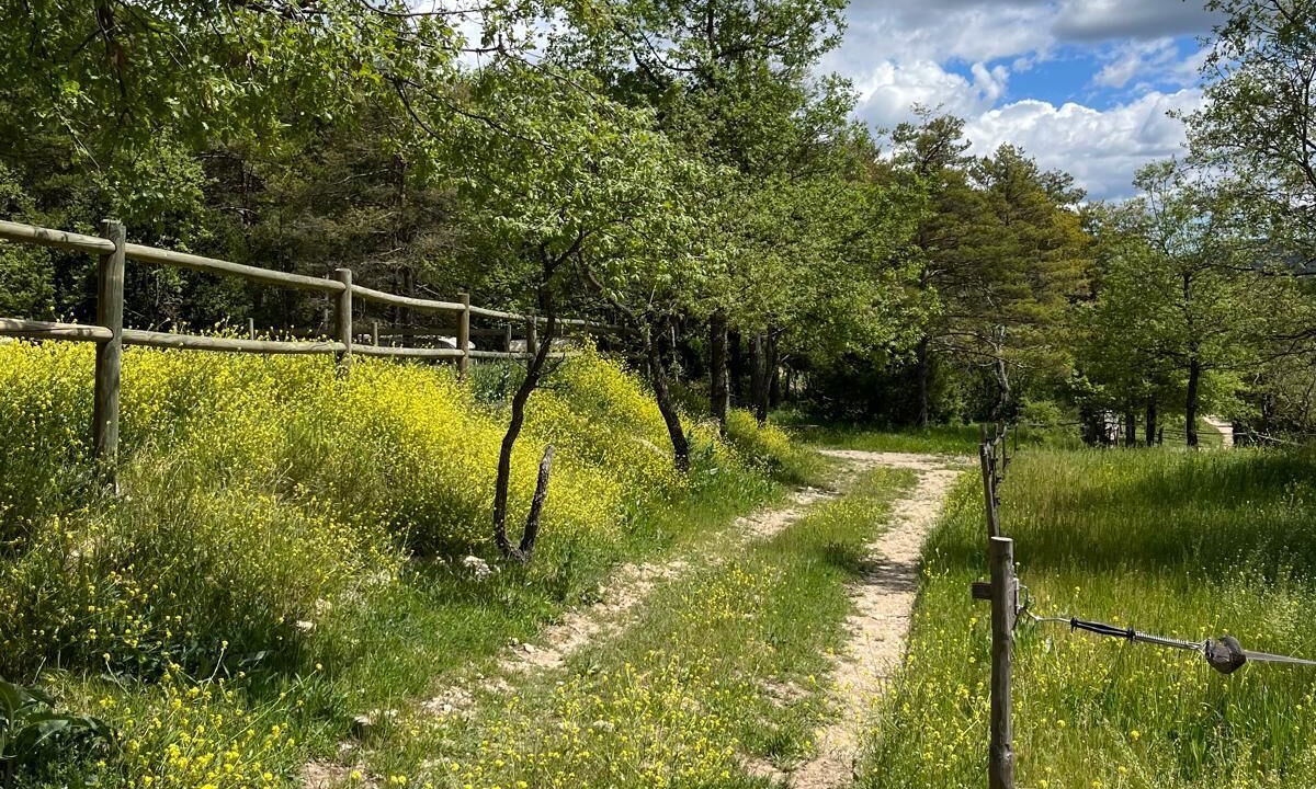 Photo of Outdoor in Trigance