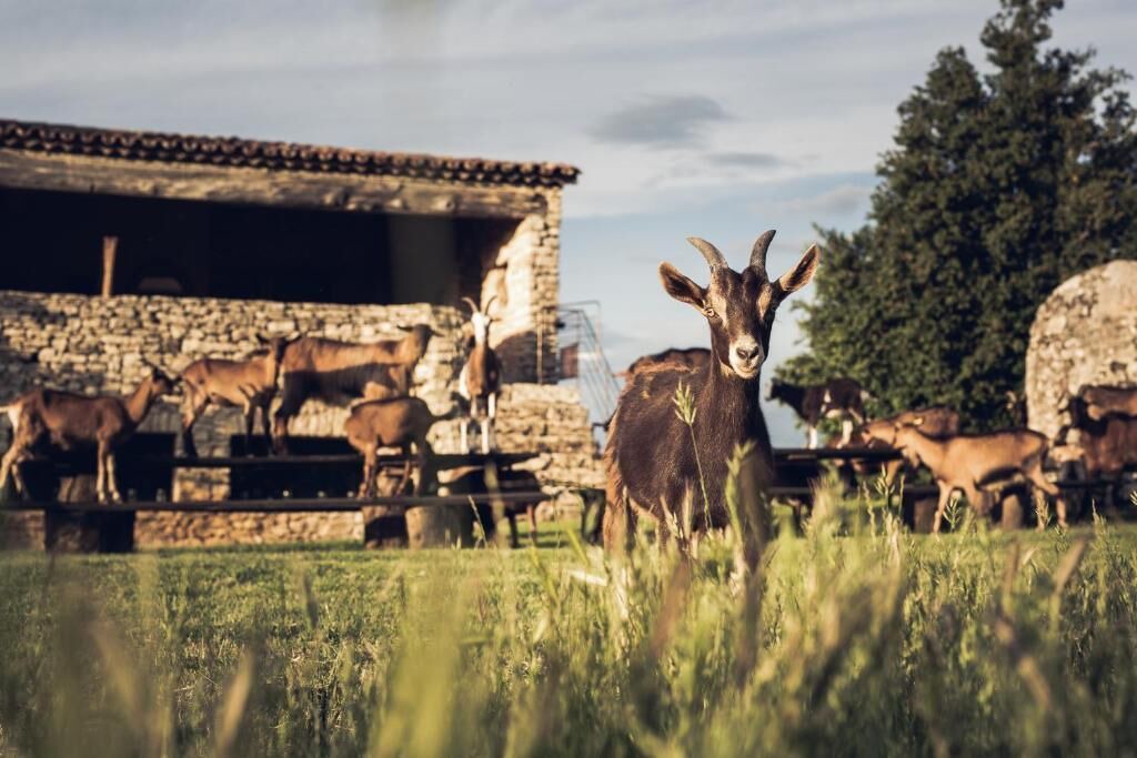 Photo of Outdoor in Sivergues