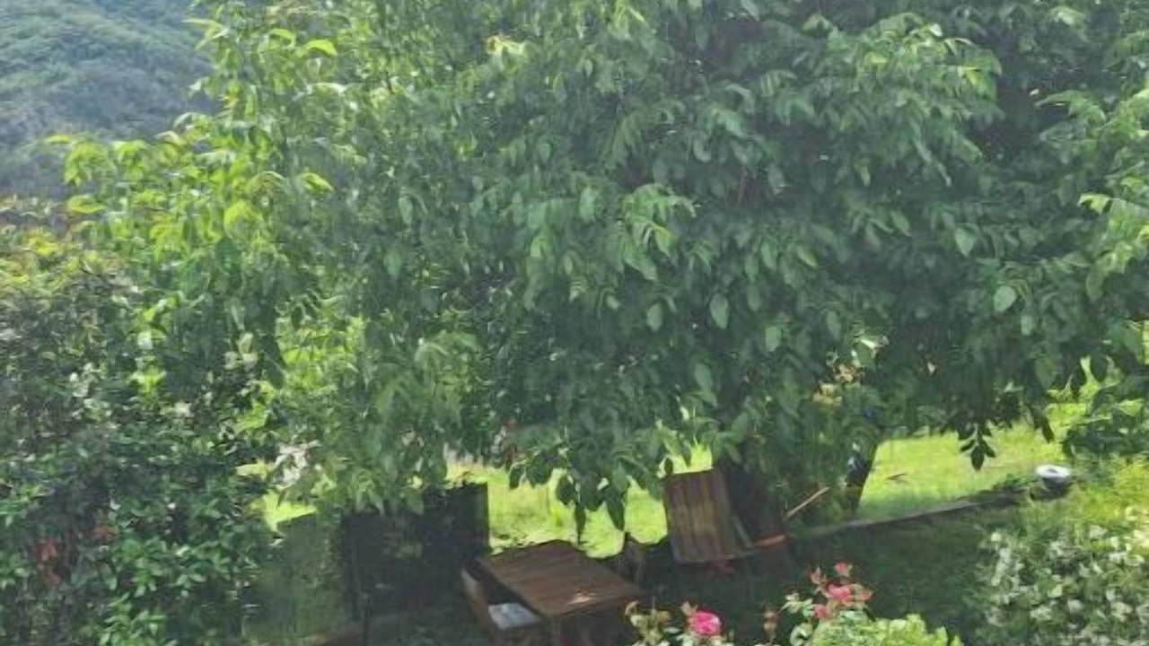 Photo of Others in Villars-sur-Var