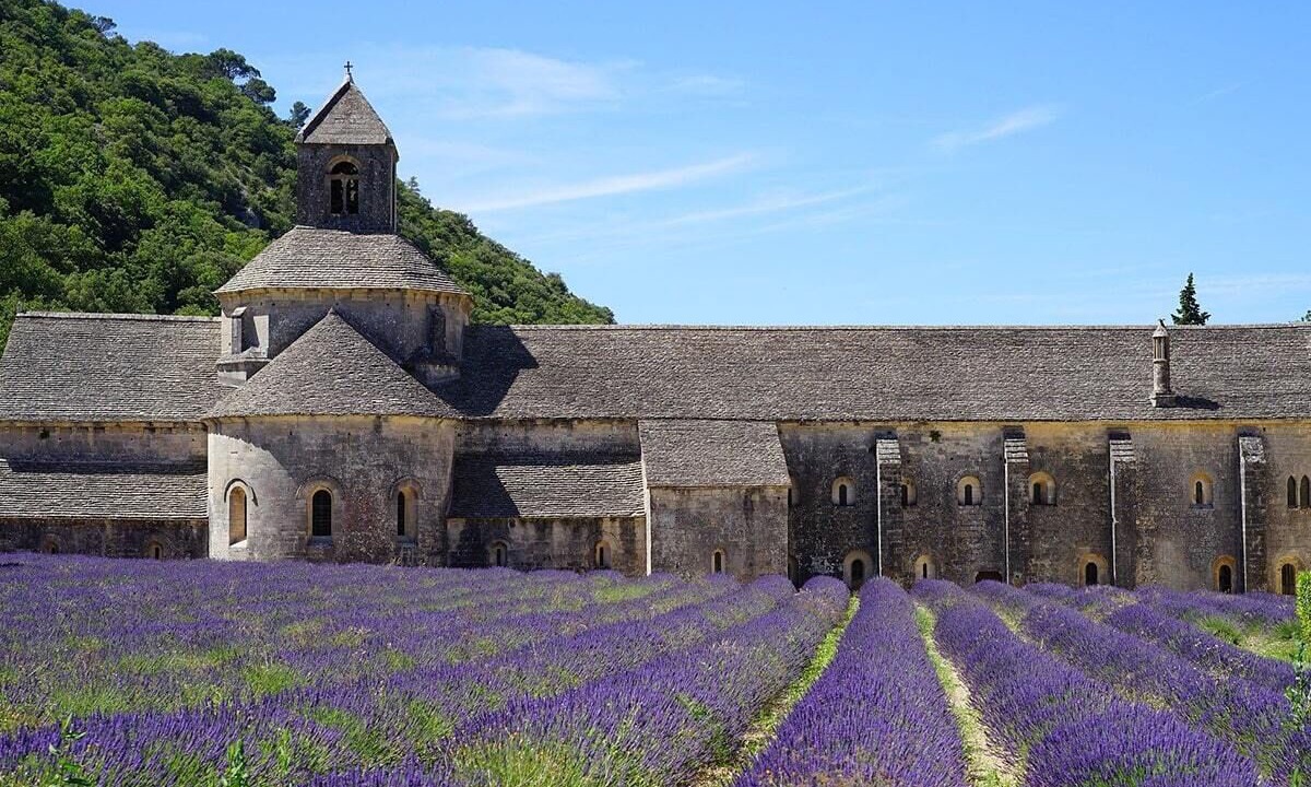 Photo of Outdoor in Villelaure