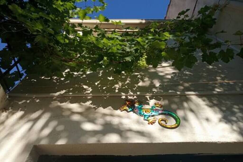 Photo of Outdoor in Baille