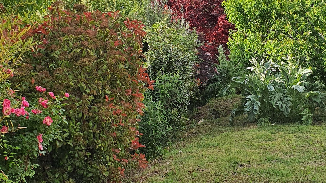 Photo of Outdoor in Saint-Martin-de-Castillon