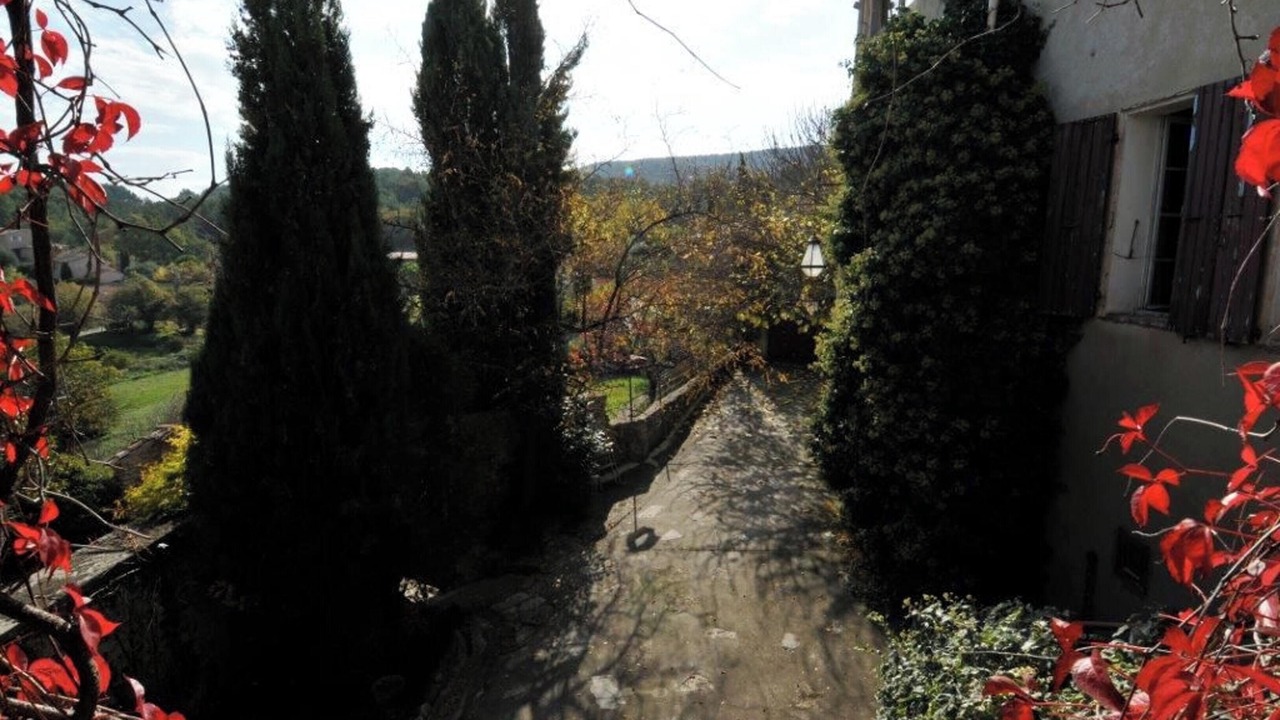 Photo of Outdoor in Buisson