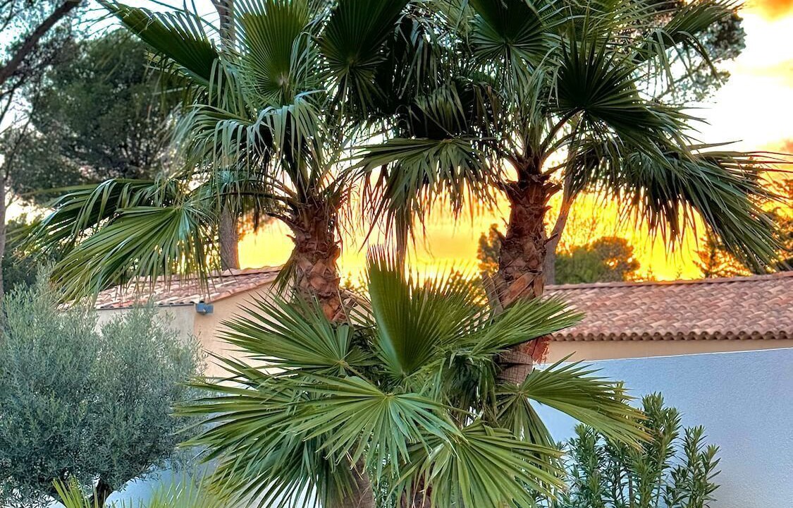 Photo of Outdoor in Puget