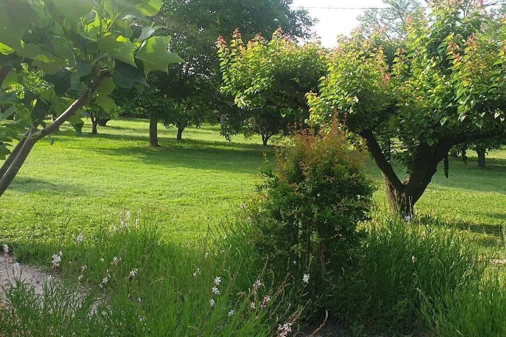 Photo of Outdoor in Saint-Andiol