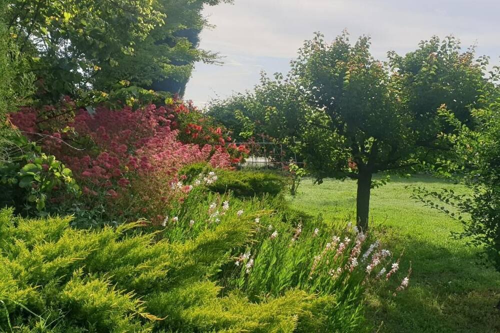 Photo of Outdoor in Saint-Andiol