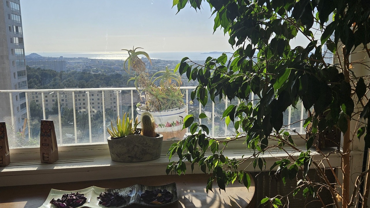 Photo of Outdoor in La Panouse