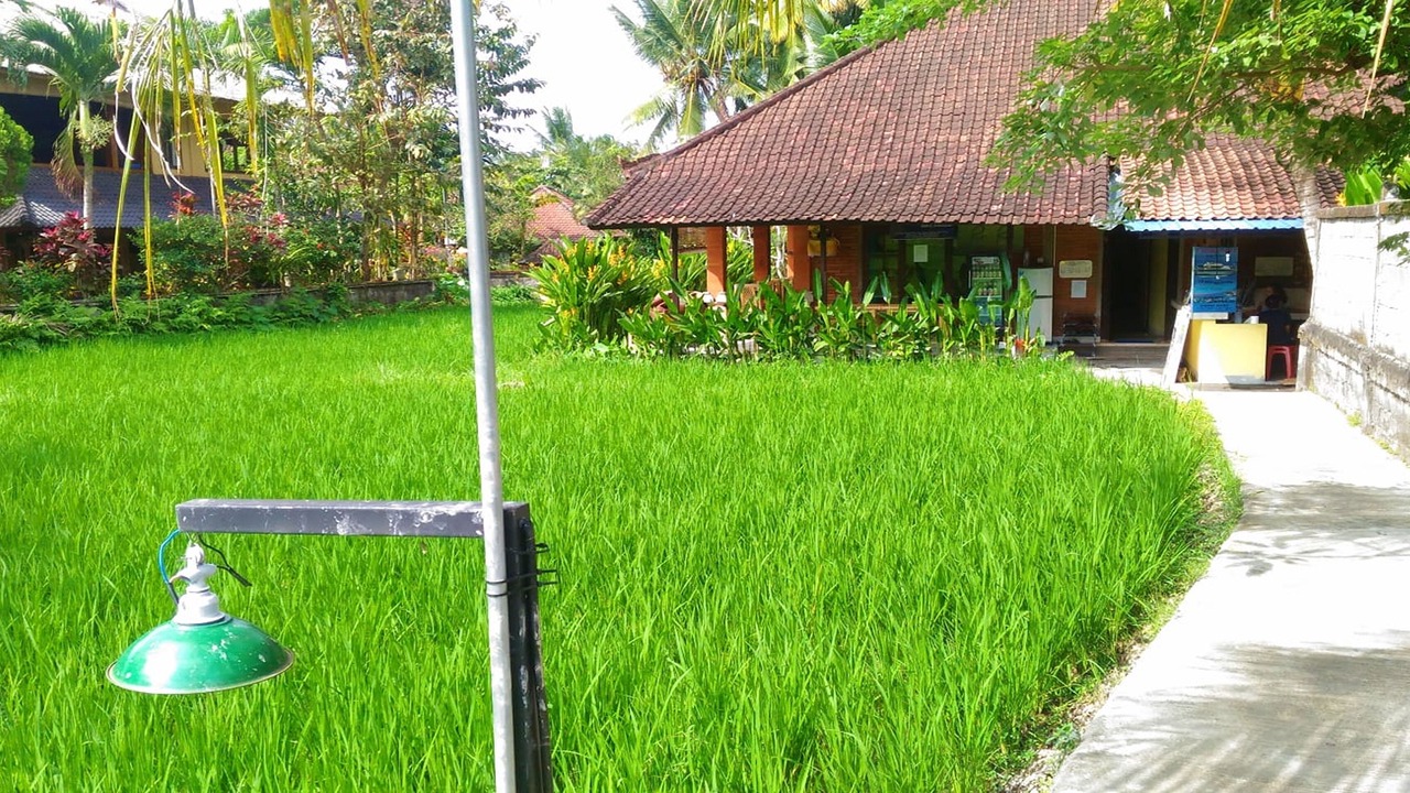 Photo of Outdoor in Pengosekan