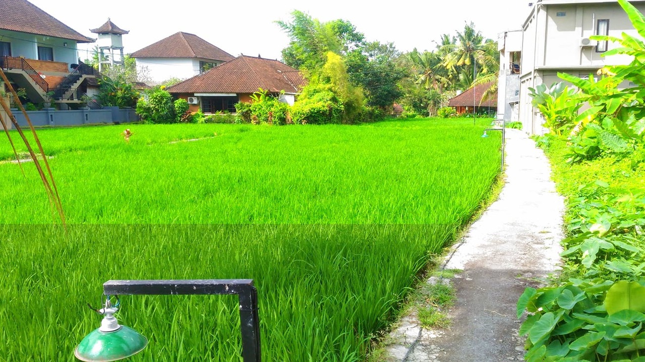 Photo of Outdoor in Pengosekan