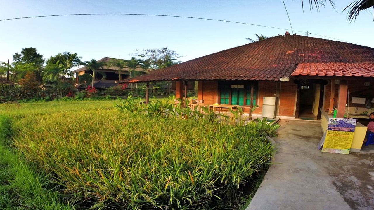 Photo of Outdoor in Pengosekan