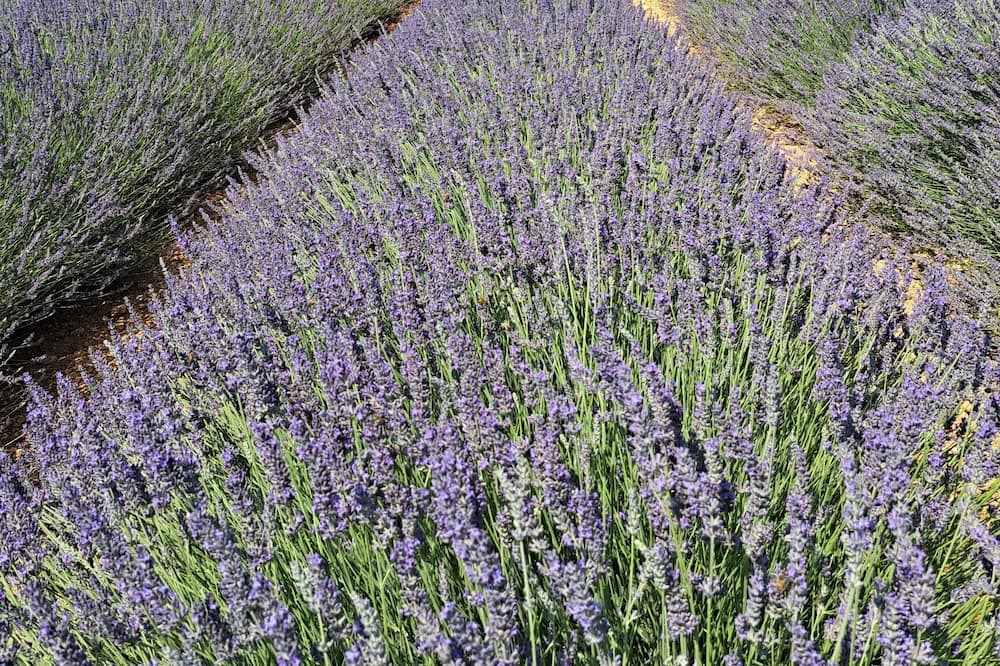 Photo of Outdoor in Roumoules