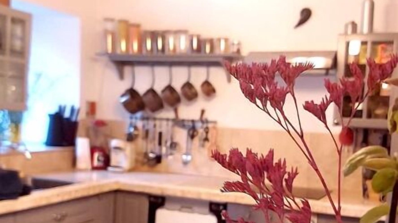 Photo of Kitchen in Mondragon