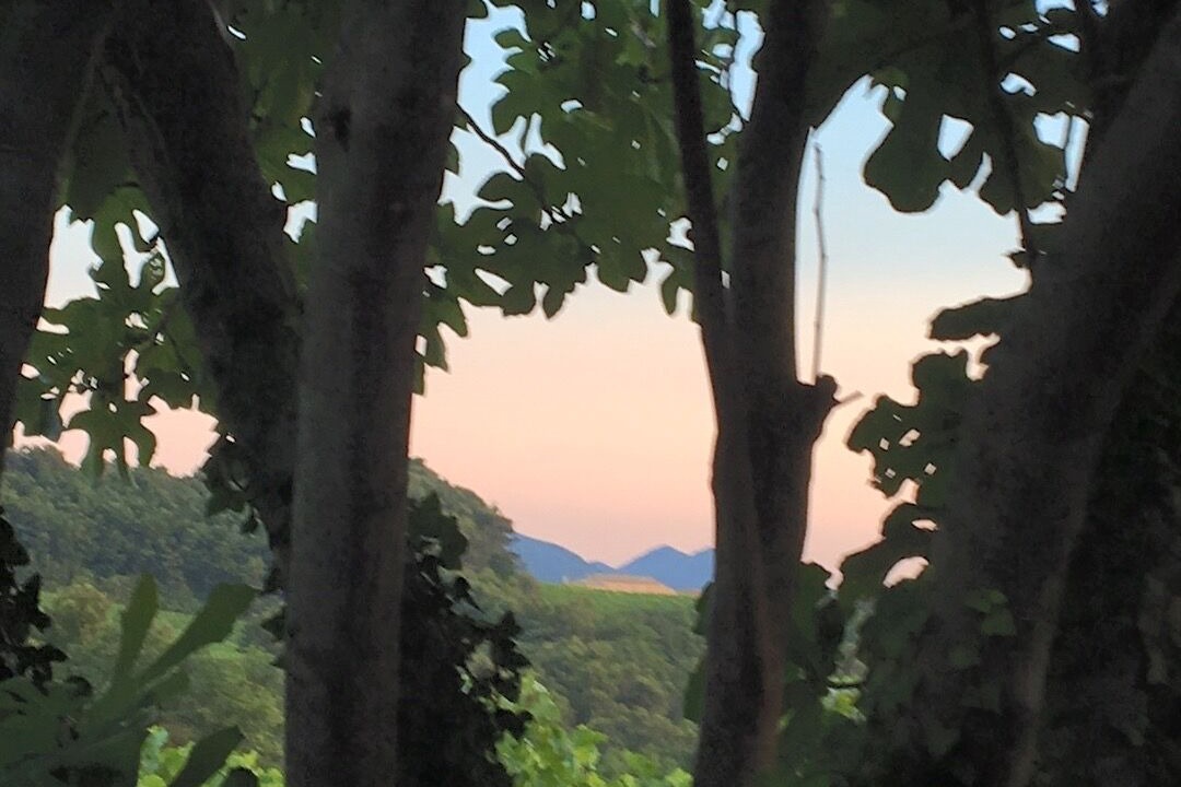 Photo of Outdoor in Villedieu