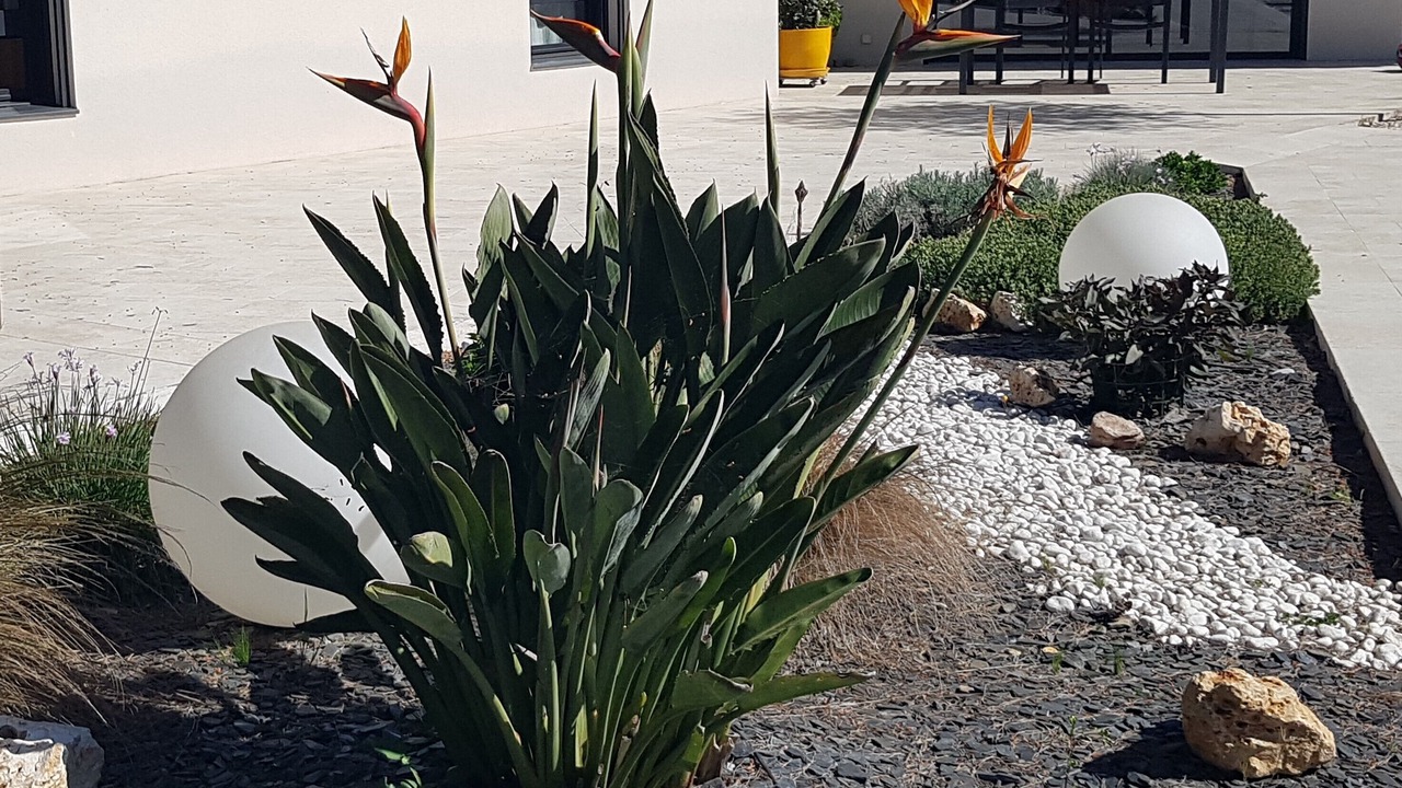 Photo of Outdoor in Cuers