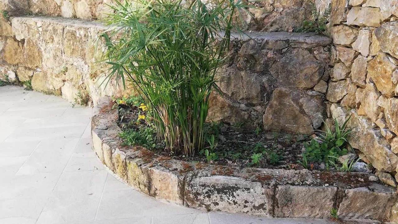 Photo of Outdoor in Brignoles