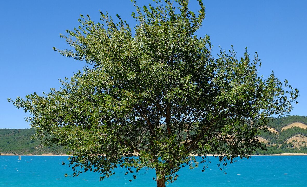 Photo of Others in Les Salles-sur-Verdon