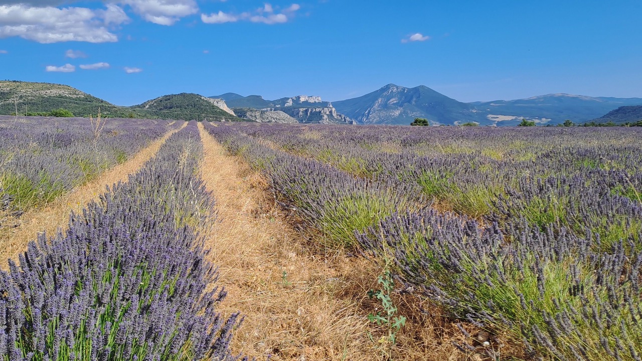 Photo of Others in Les Salles-sur-Verdon