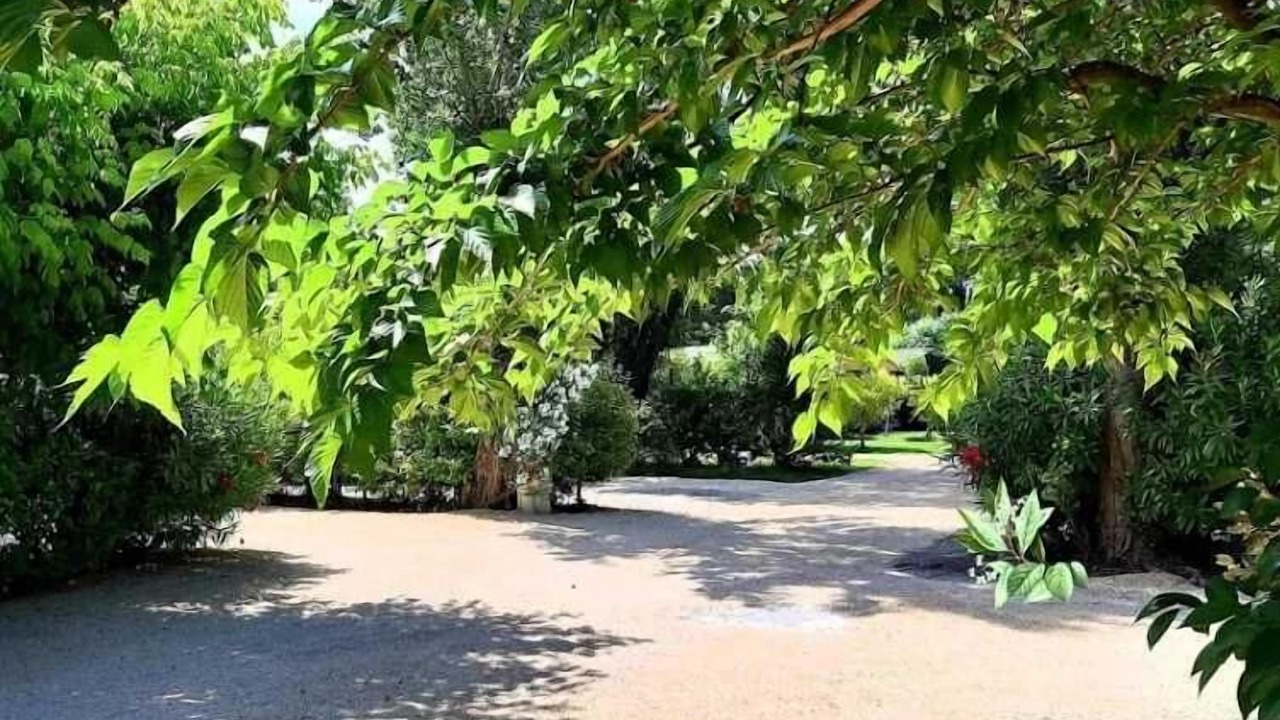 Photo of Outdoor in Paluds de Noves