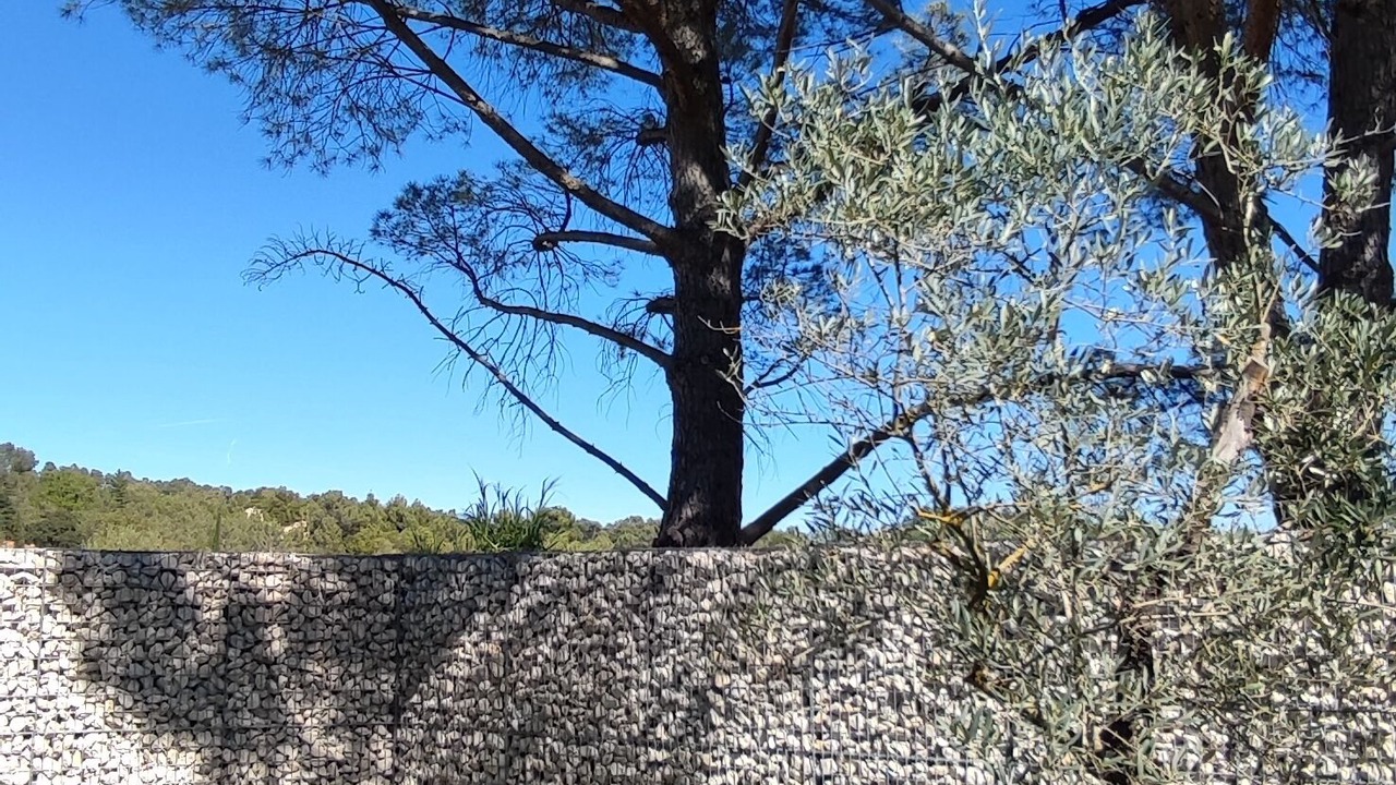 Photo of Outdoor in Provence