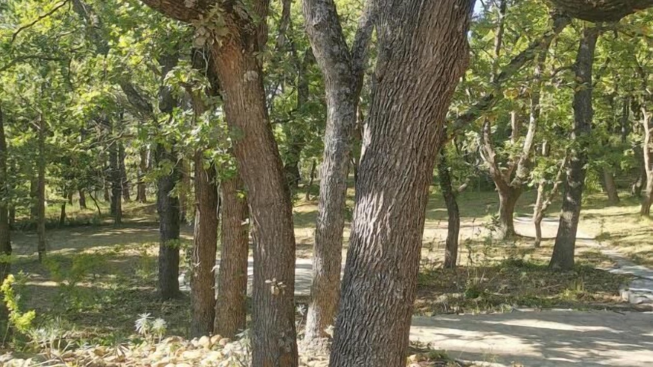 Photo of Outdoor in Velleron