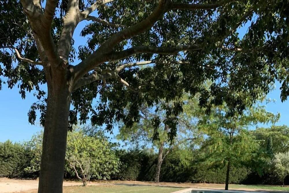 Photo of Outdoor in Redessan
