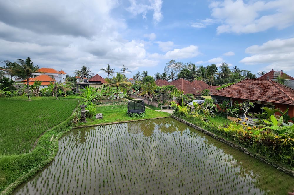 Photo of Outdoor in Pejeng Kawan