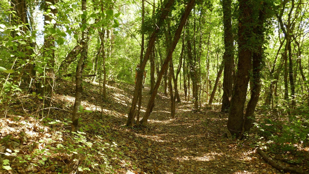 Photo of Outdoor in Route de la Lavande