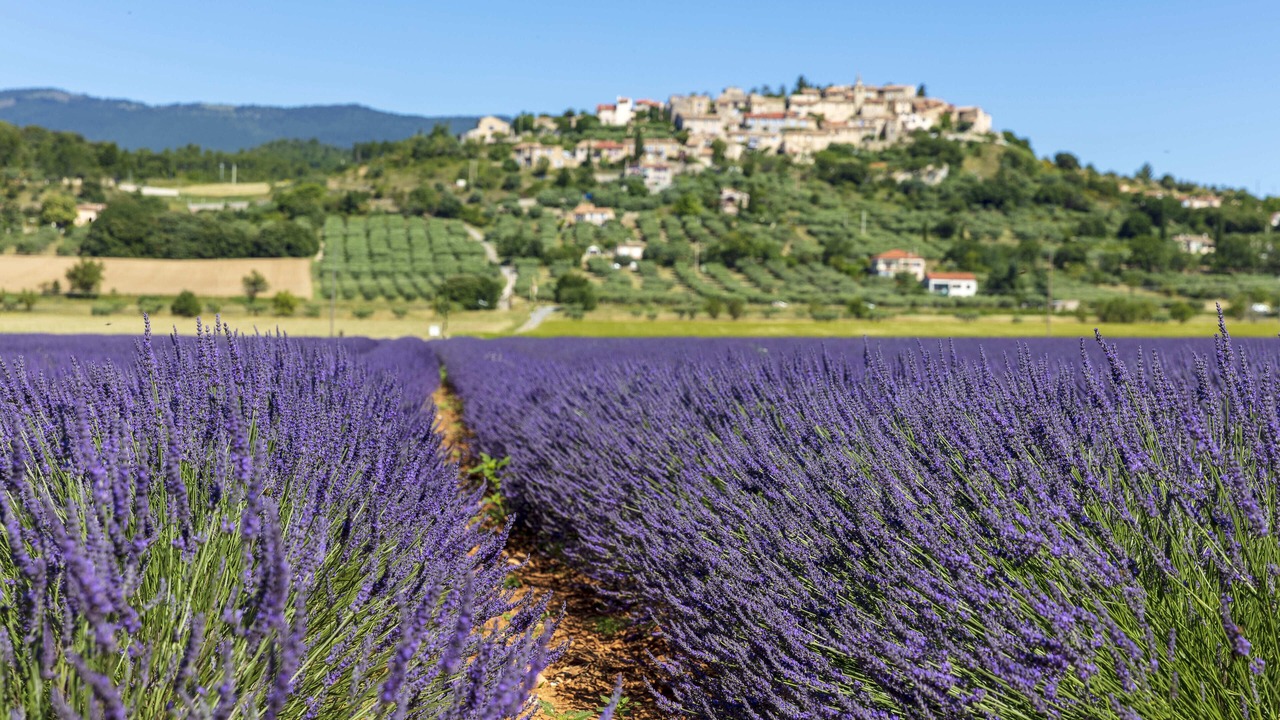 Photo of Outdoor in Chateau-Arnoux-Saint-Auban