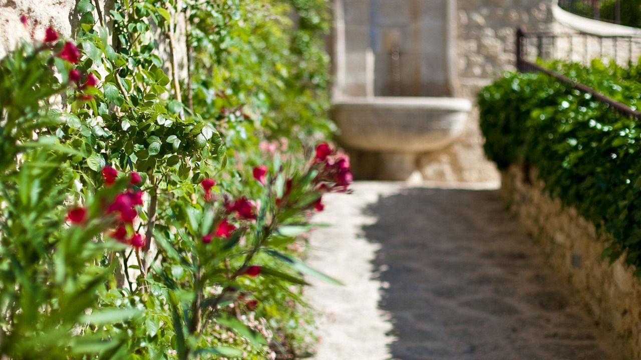 Photo of Outdoor in Crillon-le-Brave