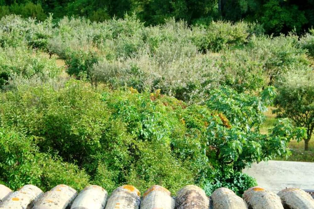 Photo of Outdoor in Saint-Michel-l'Observatoire