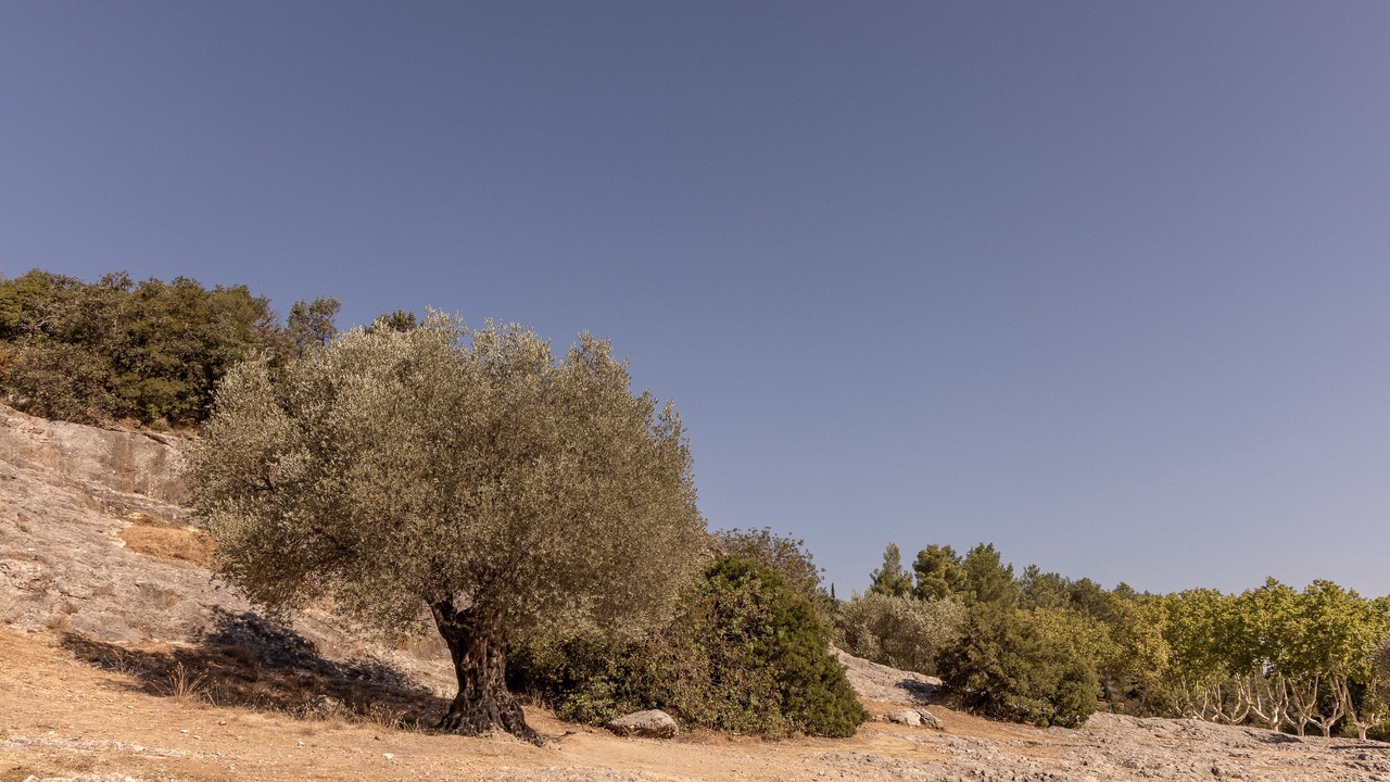 Photo of Outdoor in Montfrin