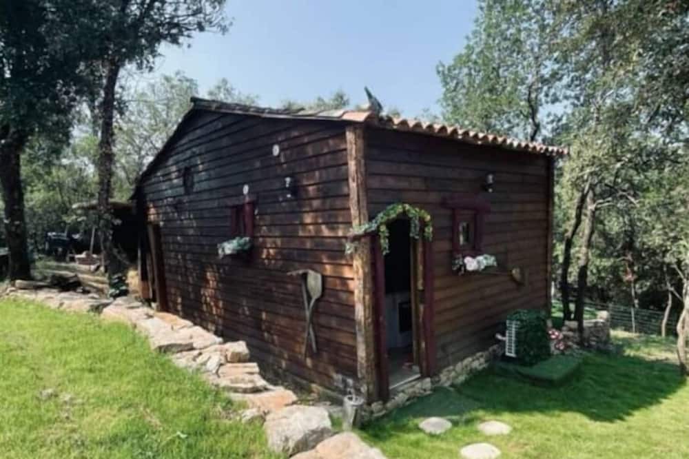 Photo of Outdoor in Tourves
