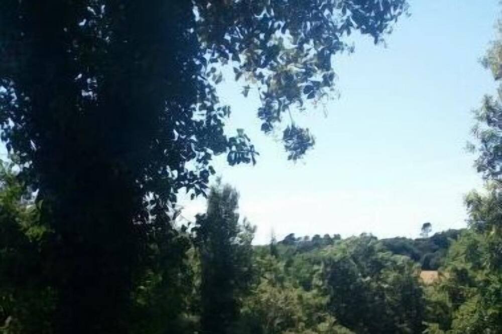 Photo of Outdoor in Tourves