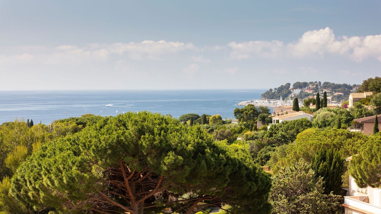 Photo of Outdoor in Cavaliere