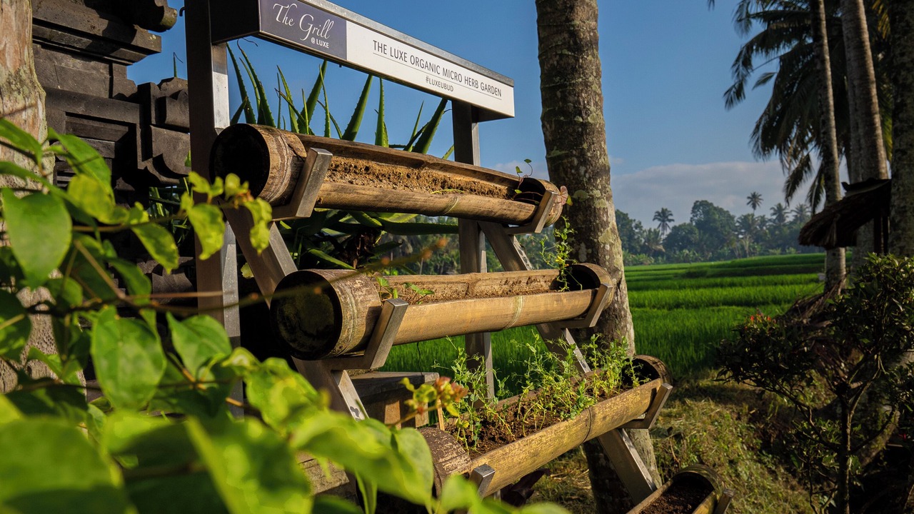 Photo of Others in Ubud City-Centre