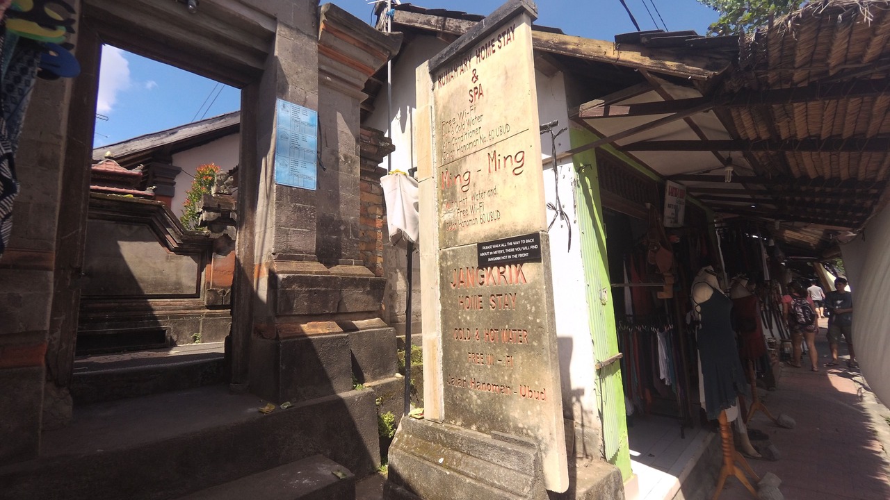 Photo of Others in Ubud City-Centre