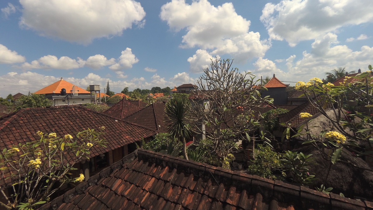 Photo of Others in Ubud City-Centre