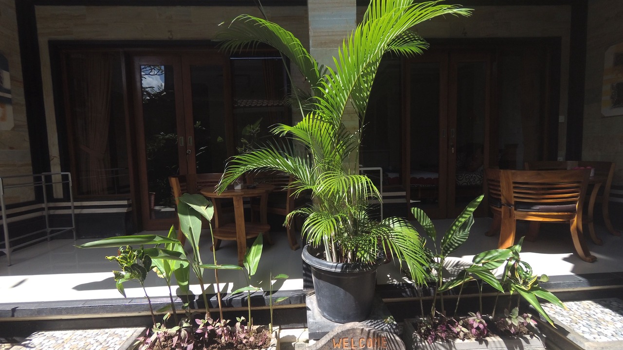 Photo of Others in Ubud City-Centre