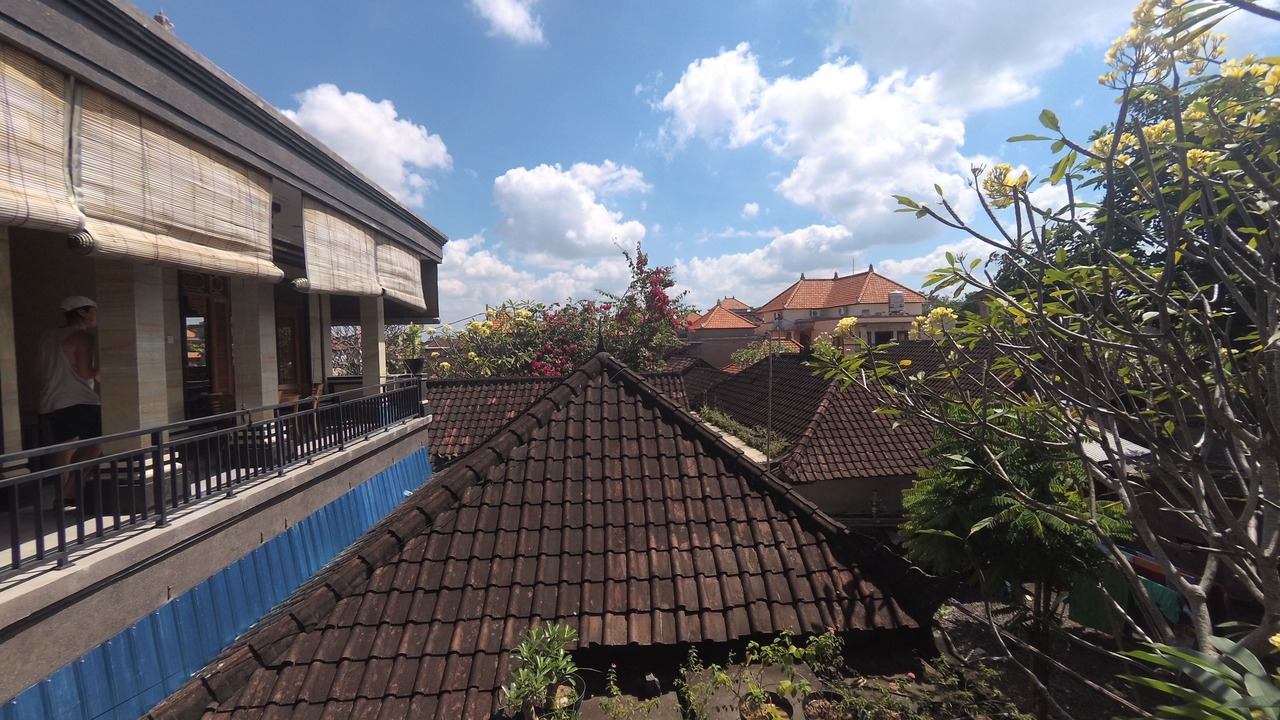 Photo of Others in Ubud City-Centre