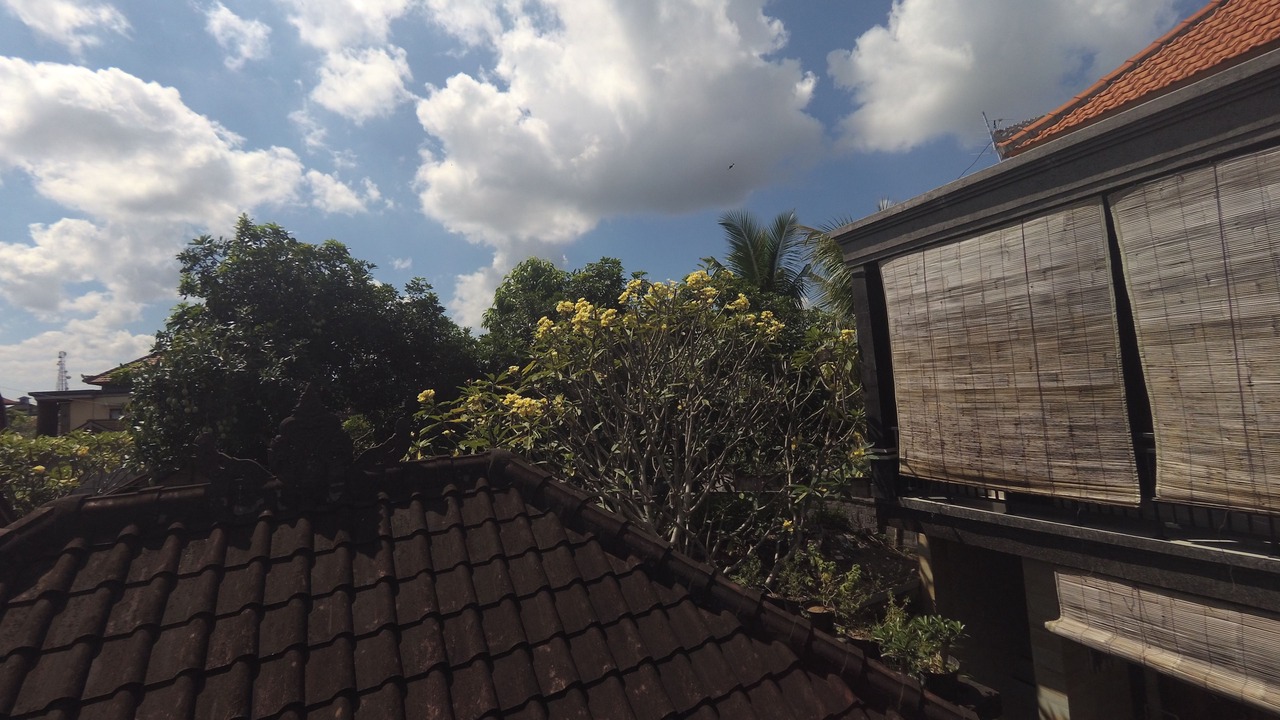 Photo of Outdoor in Ubud City-Centre