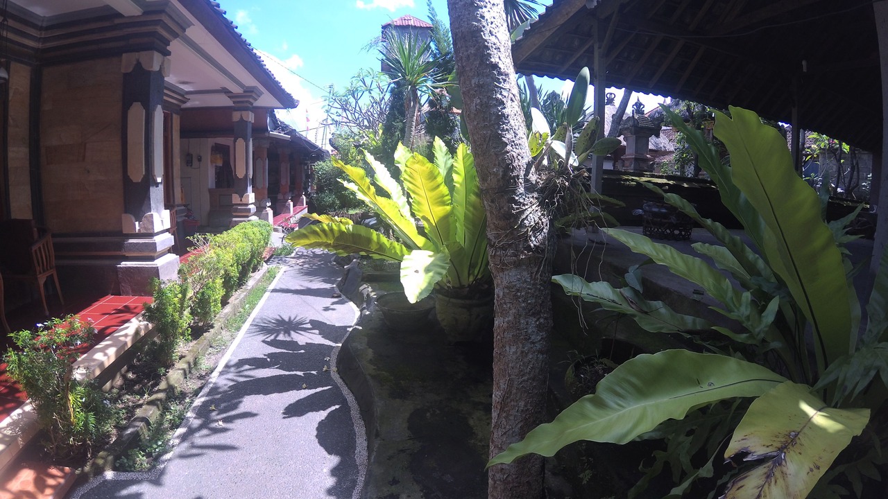 Photo of Others in Ubud City-Centre