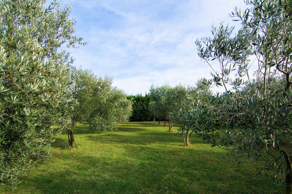 Photo of Others in Montfrin